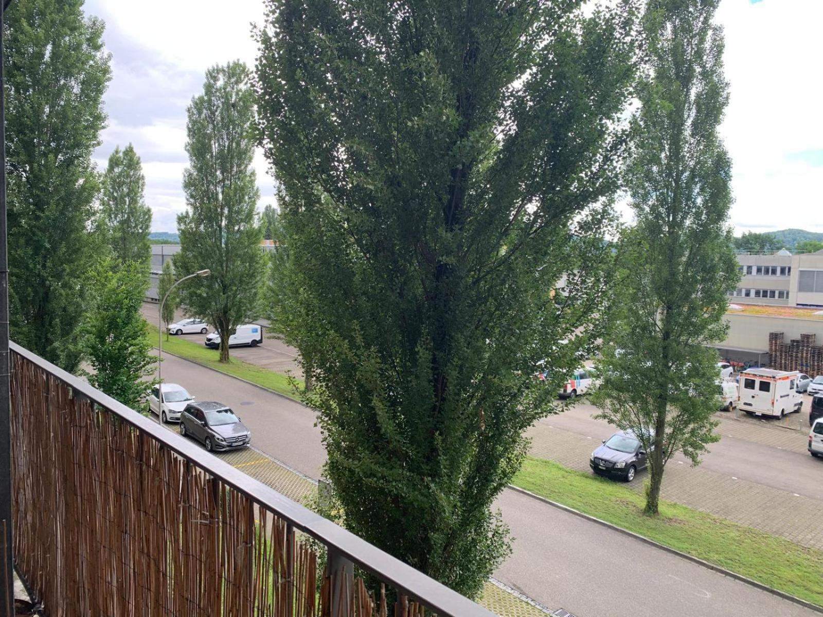 Rheinfelden Homestay Buitenkant foto
